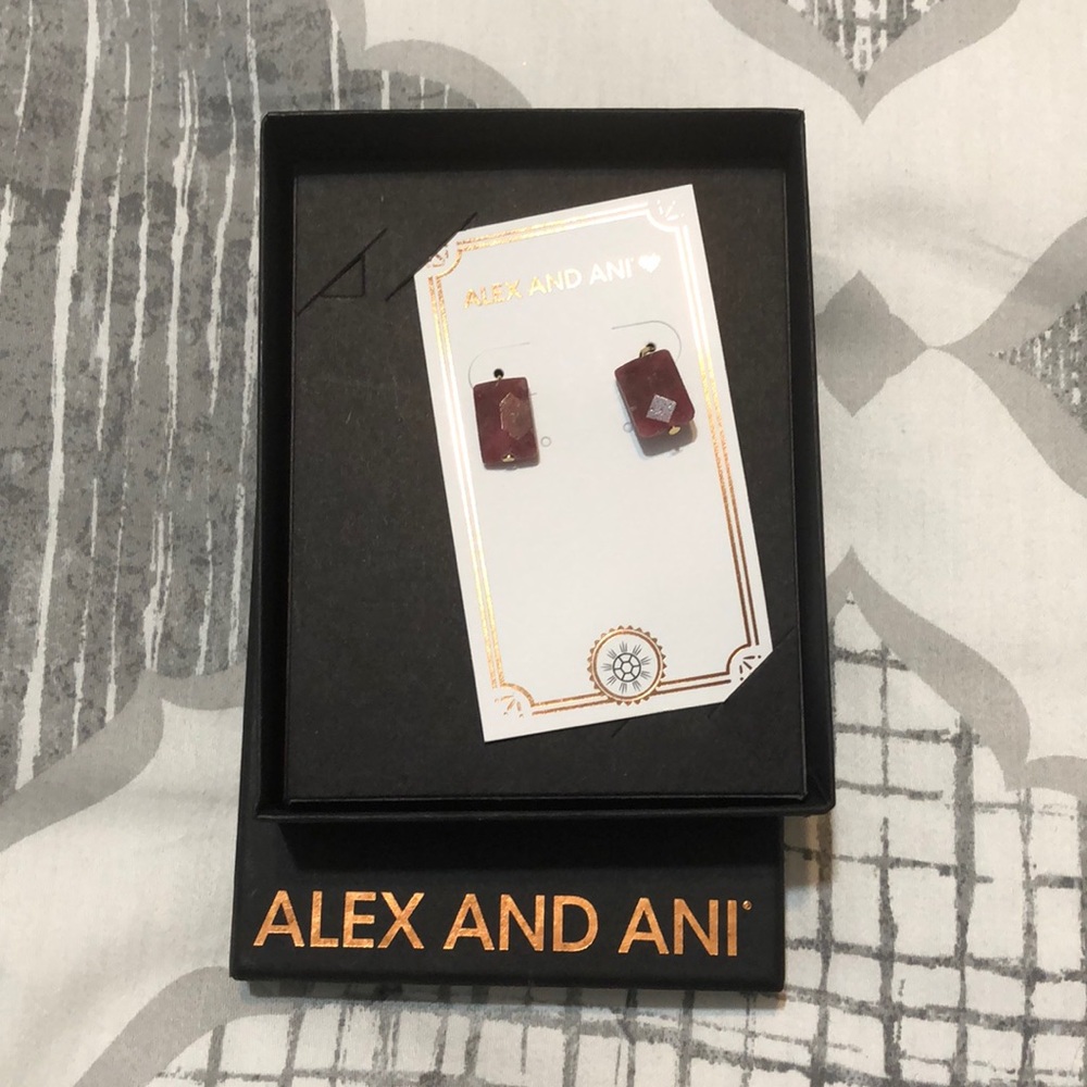 (Alex and ani ) Rhodonite gemstone earrings